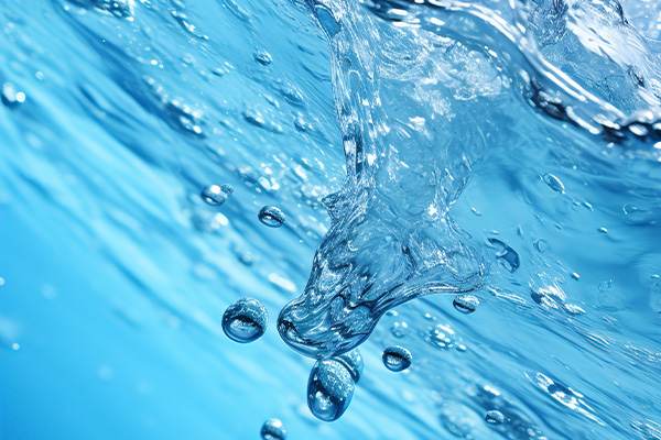 영상자료 · 갤러리